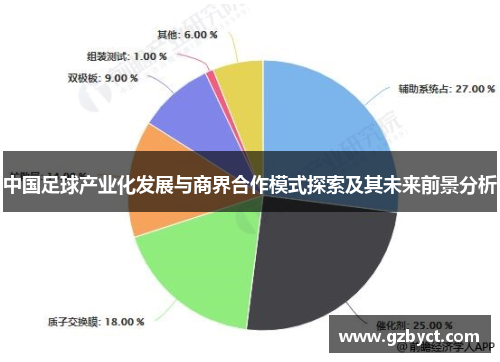 中国足球产业化发展与商界合作模式探索及其未来前景分析