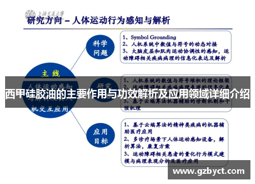 西甲硅胶油的主要作用与功效解析及应用领域详细介绍